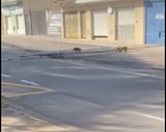 Poste cai na av. Ayrton Senna em Divinópolis causando transtornos aos motoristas e pedestres