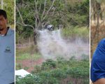 Epamig difunde cultivo da mandioca em Dia de Campo