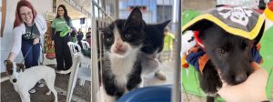 Feiras de ado&ccedil;&atilde;o de animais&nbsp;promovidas&nbsp;pela Cemig s&atilde;o sucesso em todo o estado