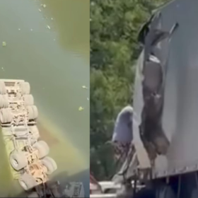 Carreta cai no Rio Pará após colisão com caminhão na BR-352, entre Pitangui e Martinho Campos