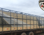 PM recupera caminhão produto de estelionato em São Gonçalo do Pará