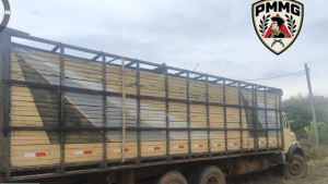 PM recupera caminh&atilde;o produto de estelionato em S&atilde;o Gon&ccedil;alo do Par&aacute;