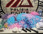 Polícia apreende 10 mil pinos de cocaína na Grande BH