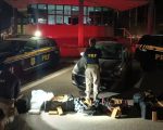 Cerca de 300 kg de drogas são apreendidos em veículo na BR-262, região metropolitana de Belo Horizonte