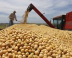 PIB de Minas Gerais cresce 1,2% e soma R$ 305,4 bilhões no segundo trimestre de 2025