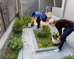 Prefeitura reforça visitas domiciliares para combater o Aedes aegypti em Divinópolis