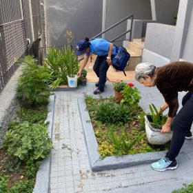 Prefeitura reforça visitas domiciliares para combater o Aedes aegypti em Divinópolis