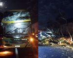 Árvore cai na BR-262 e atinge ônibus e caminhão em Luz; dois ficam feridos