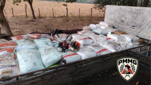 Pol&iacute;cia recupera carga de R$ 500 mil furtada na zona rural de Cl&aacute;udio e prende suspeito