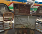 Homem é multado em mais de R$ 60 mil por manter 48 aves silvestres em cativeiro em Oliveira