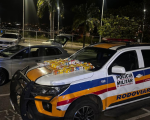 Divinópolis: PMR apreende 33 aves silvestres transportadas ilegalmente em caixas de leite