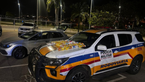 Divin&oacute;polis: PMR apreende 33 aves silvestres transportadas ilegalmente em caixas de leite
