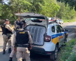 PM prende 3 por homicídio no Danilo Passos; um deles estava em motel após roubar posto