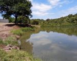 Obras na Lagoa do Sidil reacendem polêmica sobre preservação e urbanização em Divinópolis