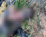 Corpo de homem é encontrado carbonizado no Danilo Passos, em Divinópolis