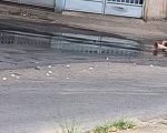 Moradores do Manoel Valinhas, em Divinópolis, cobram das autoridades solução urgente para vazamento de esgoto