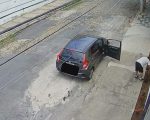 Vídeo: 14 mudas de jardim de escola são furtadas em BH; homem se entrega à polícia