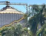 Produtores rurais terão nova linha de crédito do BDMG para investir em práticas sustentáveis e acessar novos mercados