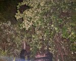 Condutor perde controle após aquaplanagem, capota caminhonete e cai em abismo na BR-354