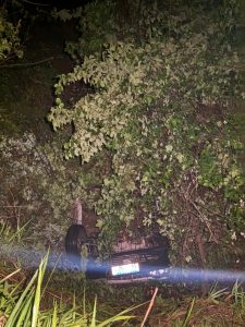Condutor perde controle ap&oacute;s aquaplanagem, capota caminhonete e cai em abismo na BR-354