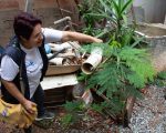 Governo de Minas mobiliza todo o estado para Dia D de combate ao Aedes aegypti