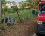 Pai e filho ficam feridos após carro sair da pista e colidir com árvore em Pará de Minas