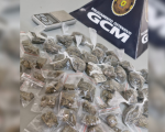 Guarda Municipal apreende 54 porções de maconha em Nova Serrana