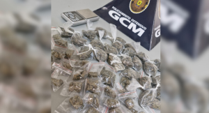 Guarda Municipal apreende 54 por&ccedil;&otilde;es de maconha em Nova Serrana