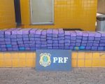 Dupla é presa com 120 kg de maconha em Bom Despacho e diz que droga era fertilizante