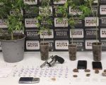 Dupla é presa com pés de maconha, pinos de cocaína e arma de fogo em Cláudio