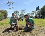Bosque do Amanhã: programa do Governo de Minas mobiliza crianças no plantio de mais de 12 mil mudas em 2025