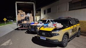 Mais de 5 mil pares de cal&ccedil;ados sem nota fiscal s&atilde;o apreendidos em Oliveira; motorista &eacute; preso