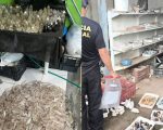 PF deflagra operação contra garimpo ilegal de quartzo em cidades do Centro-Oeste