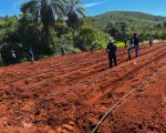 Projeto fortalece produção agropecuária no Norte de Minas e Vales do Jequitinhonha e Mucuri