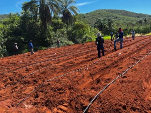 Projeto fortalece produ&ccedil;&atilde;o&nbsp;agropecu&aacute;ria no Norte de Minas e Vales do Jequitinhonha e Mucuri&nbsp;