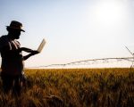 INAES celebra 18 anos dedicados ao fortalecimento do agro mineiro