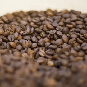 Trump diz que reduzirá tarifas para importação de café