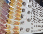 Guarda Municipal prende dupla e apreende grande quantidade de drogas