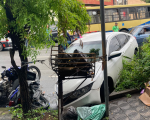 VÍDEOS: Acidente grave envolvendo carros, ônibus e motocicletas no Centro de Divinópolis
