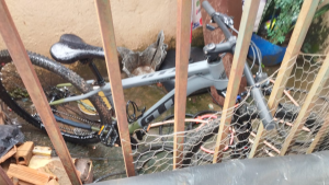 PM recupera bicicleta furtada no interior de pr&eacute;dio em Divin&oacute;polis
