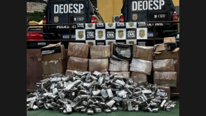 Ita&uacute;na: PC apreende 1.300 kg de maconha na MG-050
