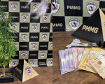 Pinos de cocaína e pé de maconha são apreendidos em Arcos; jovem é detido