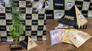 Pinos de coca&iacute;na e p&eacute; de maconha s&atilde;o apreendidos em Arcos; jovem &eacute; detido