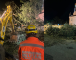 Oliveira: Árvore de grande porte cai sobre veículos após chuva e interdita estrada no Morro do Ferro
