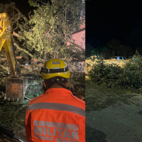 Oliveira: Árvore de grande porte cai sobre veículos após chuva e interdita estrada no Morro do Ferro