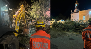 Oliveira: &Aacute;rvore de grande porte cai sobre ve&iacute;culos ap&oacute;s chuva e interdita estrada no Morro do Ferro