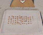 Homem é preso com 63 pedras de crack na cueca em Divinópolis