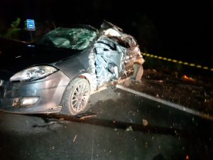 Acidente na BR-262 em Bom Despacho deixa v&iacute;tima fatal