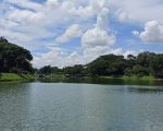 Monitoramento aponta nível ótimo de qualidade da água na Lagoa da Pampulha