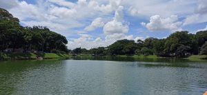 Monitoramento aponta n&iacute;vel &oacute;timo de qualidade da &aacute;gua na Lagoa da Pampulha